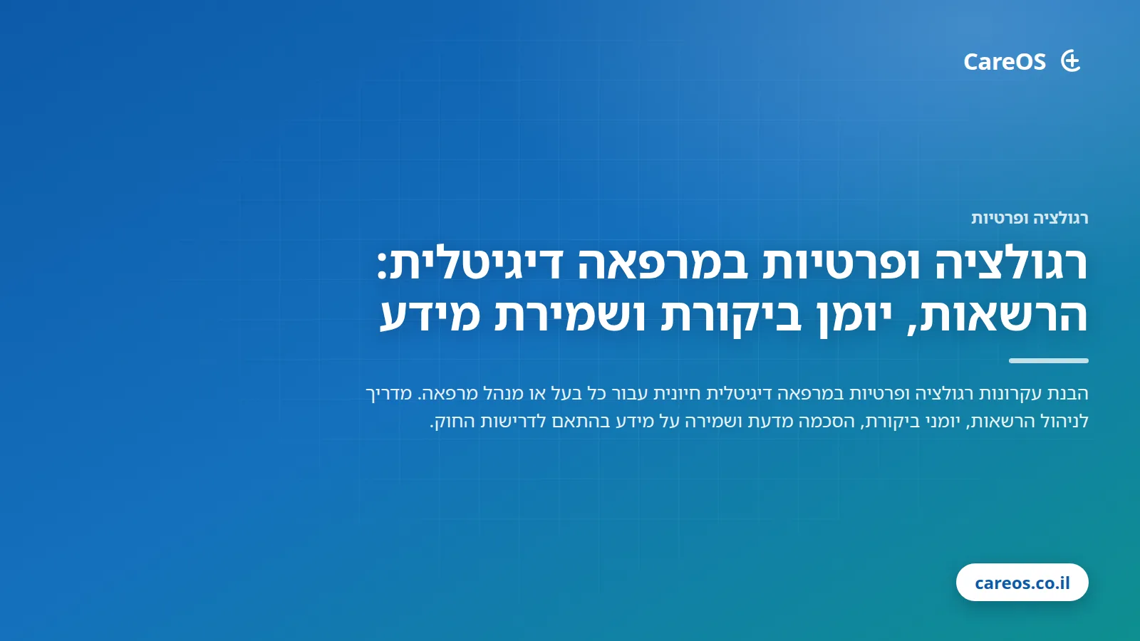 רגולציה ופרטיות במרפאה דיגיטלית: הרשאות, יומן ביקורת ושמירת מידע