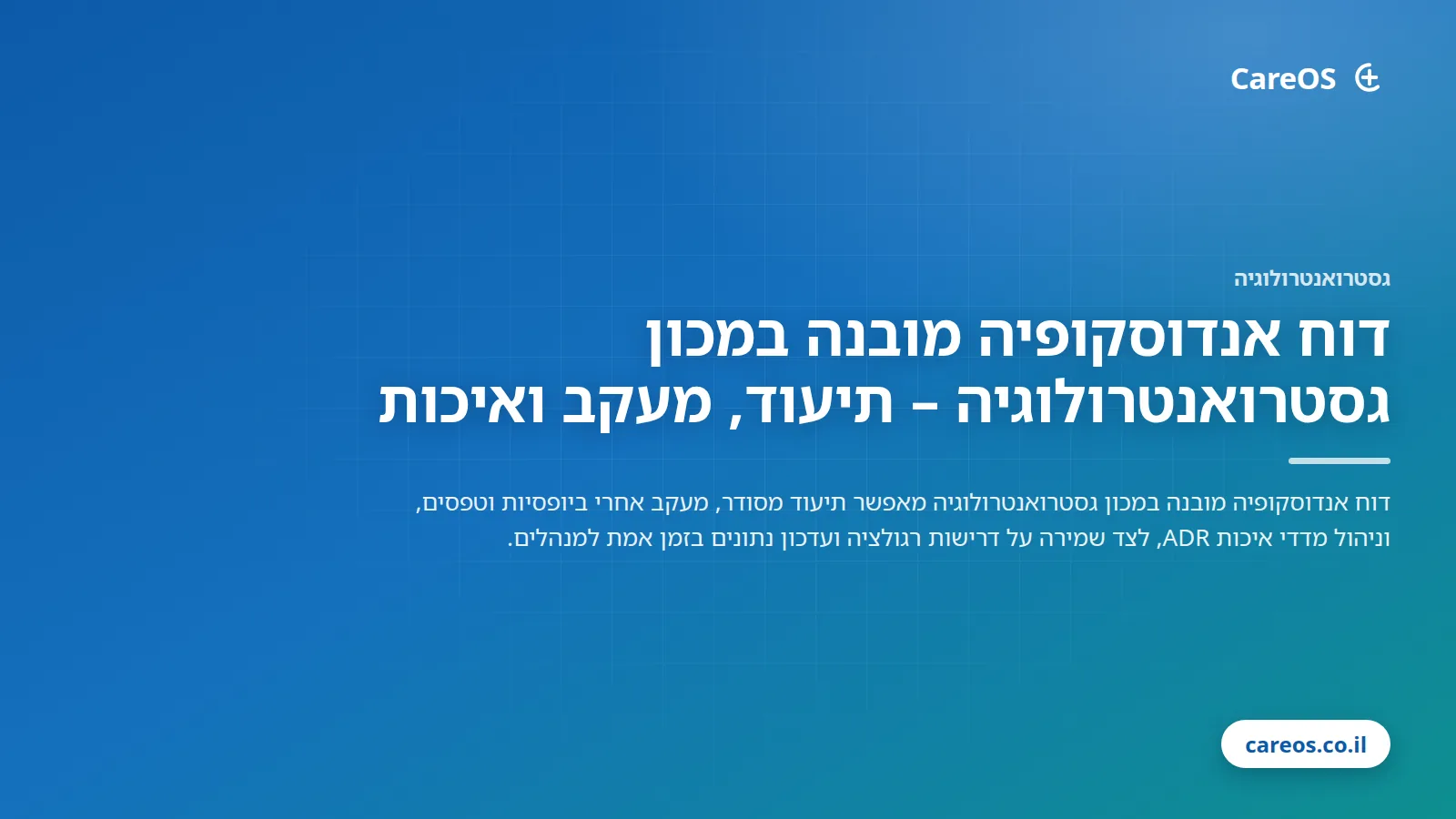 דוח אנדוסקופיה מובנה במכון גסטרואנטרולוגיה – תיעוד, מעקב ואיכות